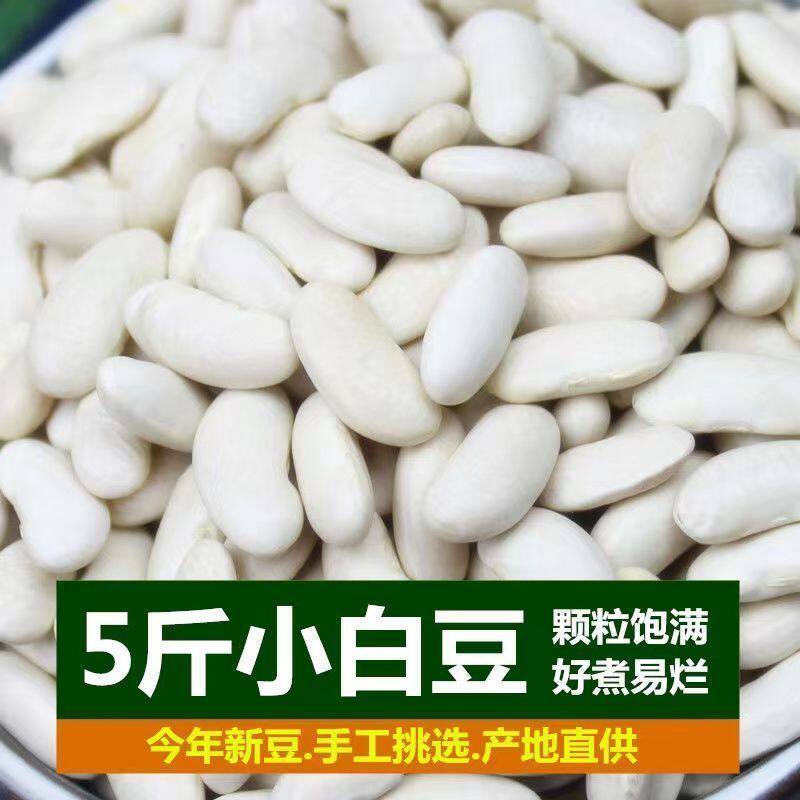 新货白腰豆白豆云南农家自种小白芸豆 豆米煲汤打豆浆