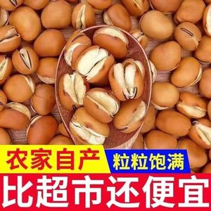 新货羊眼豆蚕豆农家自种精选黑扁豆五谷杂粮羊眼豆正宗装黑眉豆