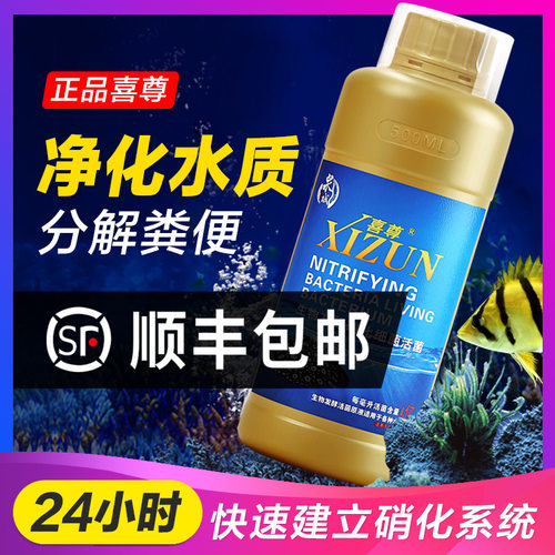 喜尊硝化细菌益生菌水质稳定剂消化活菌维他命活力素能量源净水剂