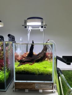 迷你R型玻璃进出水管增氧口鱼缸进出水口迷你喇叭口出水口除油膜