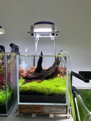 迷你R型玻璃进出水管增氧口