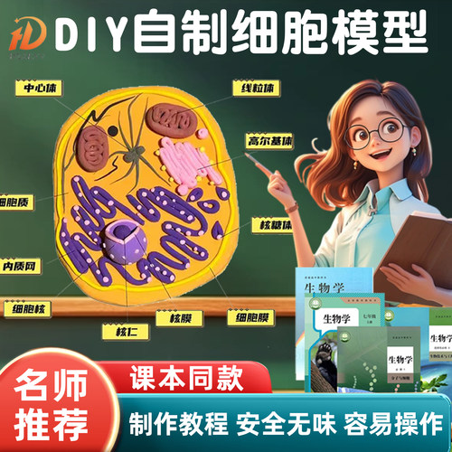 动植物细胞模型材料包成品七年级生物高中生物真核细胞模型diy