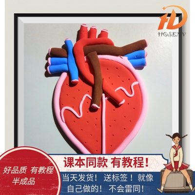 生物模型材料包七年级心脏模型