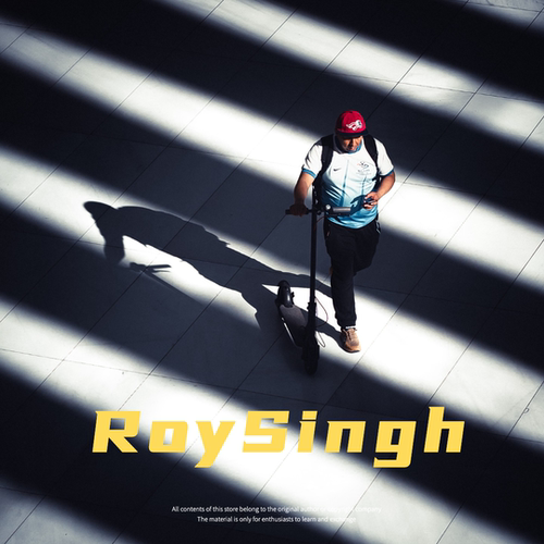 摄影师Roy Singh 国外城市风光审美提升摄影参考电子素材