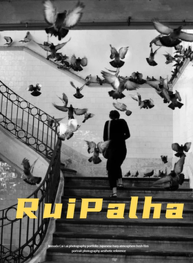 Rui Palha 葡萄牙摄影师 决定性瞬间黑白街头摄影作品集参考素材