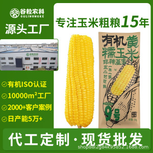 有机玉米有机黄玉米黑玉米水果玉米东北糯玉米真空装定制