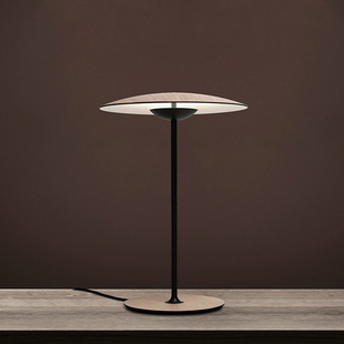 北欧设计师创意台灯主卧书房床头柜桌灯设计感高档轻奢现代极简灯