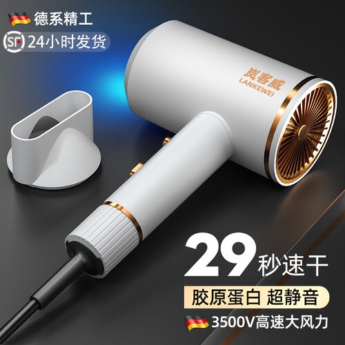 德国电吹风机家用大风力发廊大功