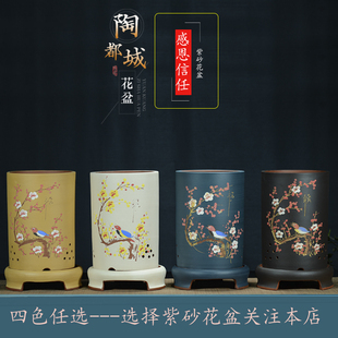 紫砂兰花盆精品宜兴点彩吊兰盆景盆栽虎皮兰专用盆君子兰陶瓷花盆