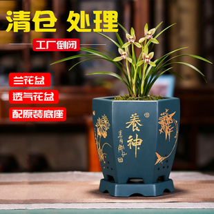 紫砂兰花盆带托盘兰花专用盆君子兰室内家用桌面精品绿植兰花花盆