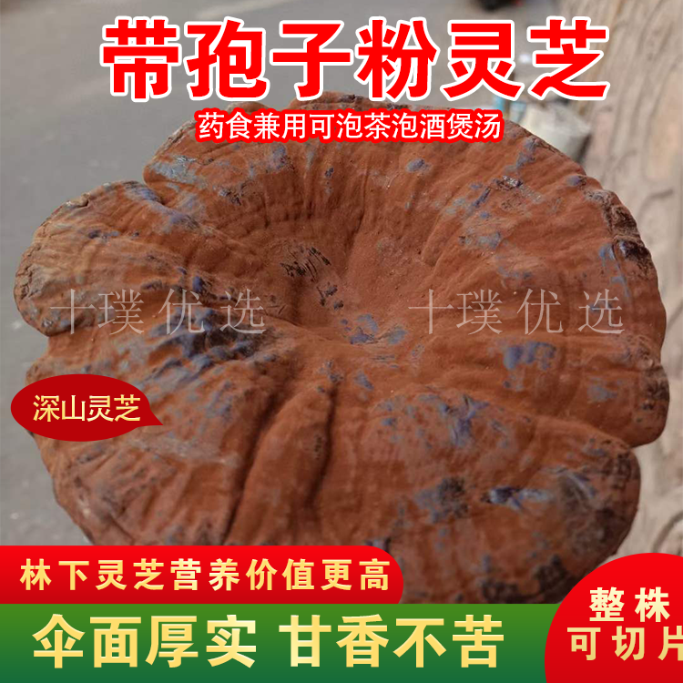 灵芝带粉野生正品客家深山不苦林芝整枝干货半野生紫芝切片泡酒