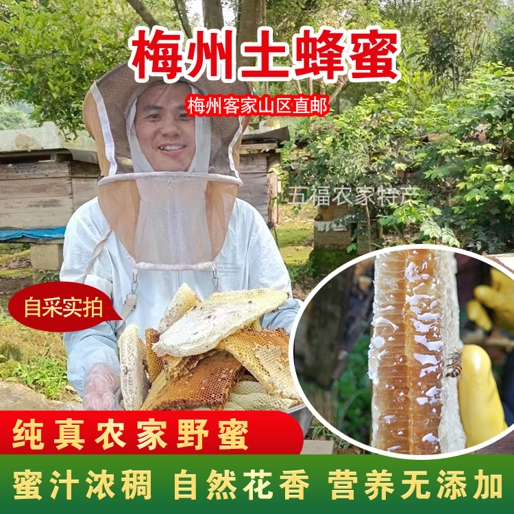 蜂蜜纯正天然土蜂蜜农家自产无添加百花结晶采野生正宗龙眼2斤