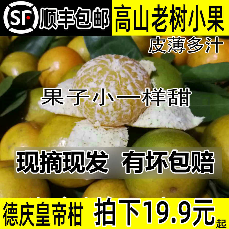 现摘现发纯甜多汁当季新鲜水果
