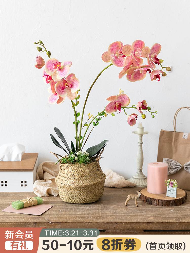 阿楹 仿真绿植小型蝴蝶兰盆栽高端沙发摆件新年电视柜墙角装饰花
