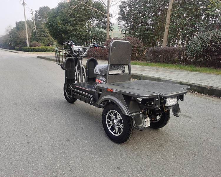 新款载重王电动三轮车大力神载货快餐拉客快递爬坡王家用送货车