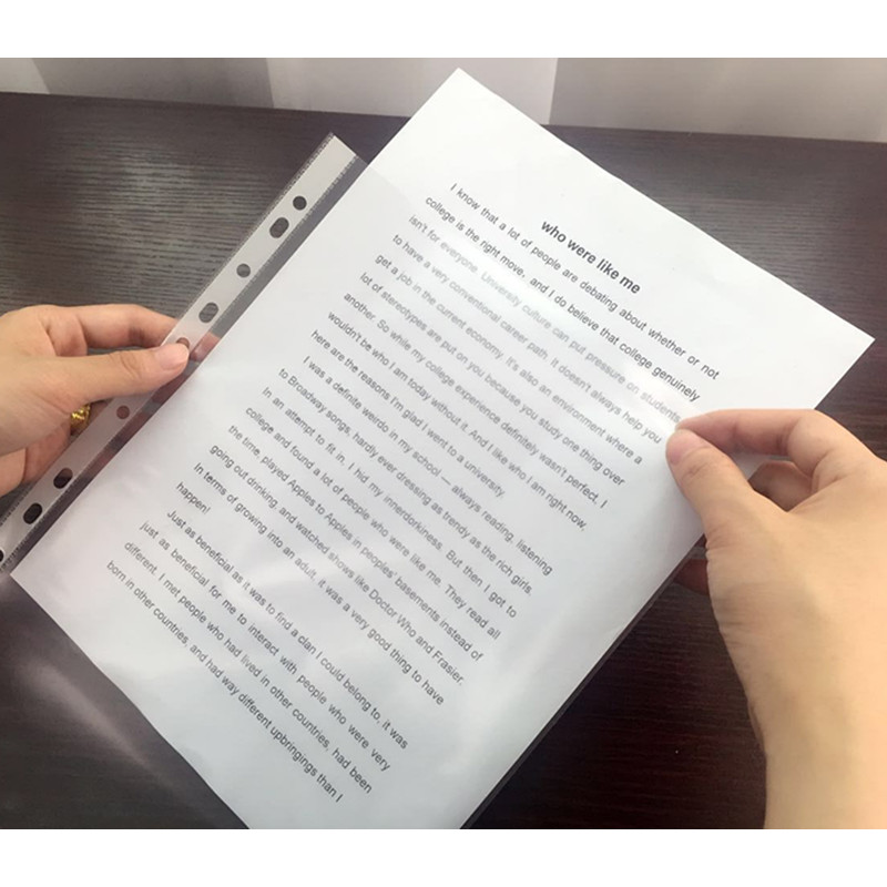 11孔文件袋a4文件保护袋十一孔文件夹加厚插页袋活页