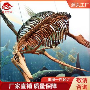 蛇颈龙鱼龙骨架化石仿真恐龙古生物玻璃钢化石树脂动物骨架标本