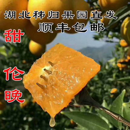 顺丰包邮春橙伦晚大果10/5斤新鲜水果当季现摘手剥孕妇整箱甜橙子