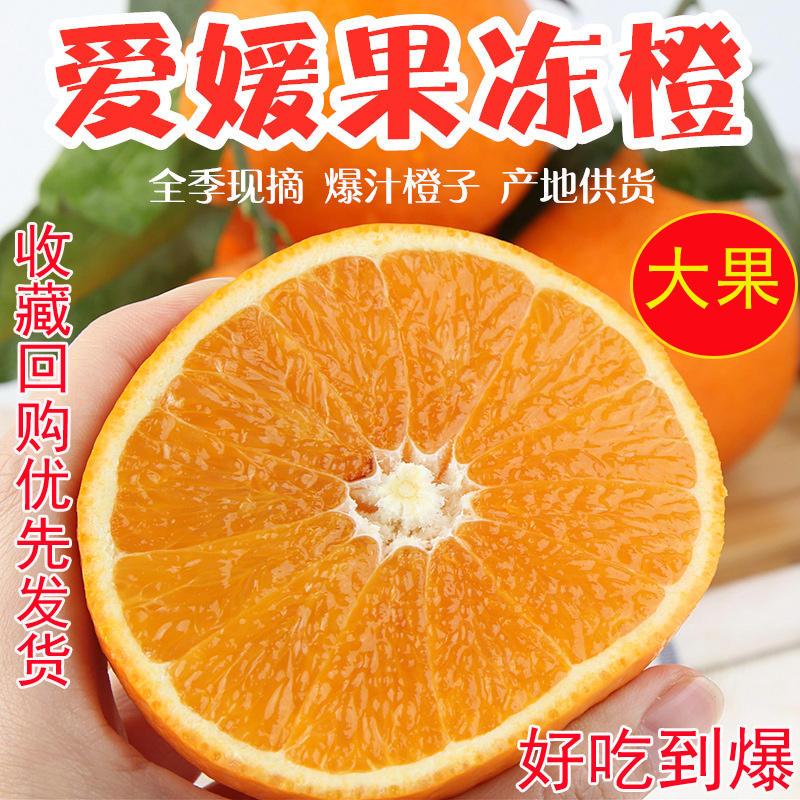 爱媛果冻橙现摘现发包邮