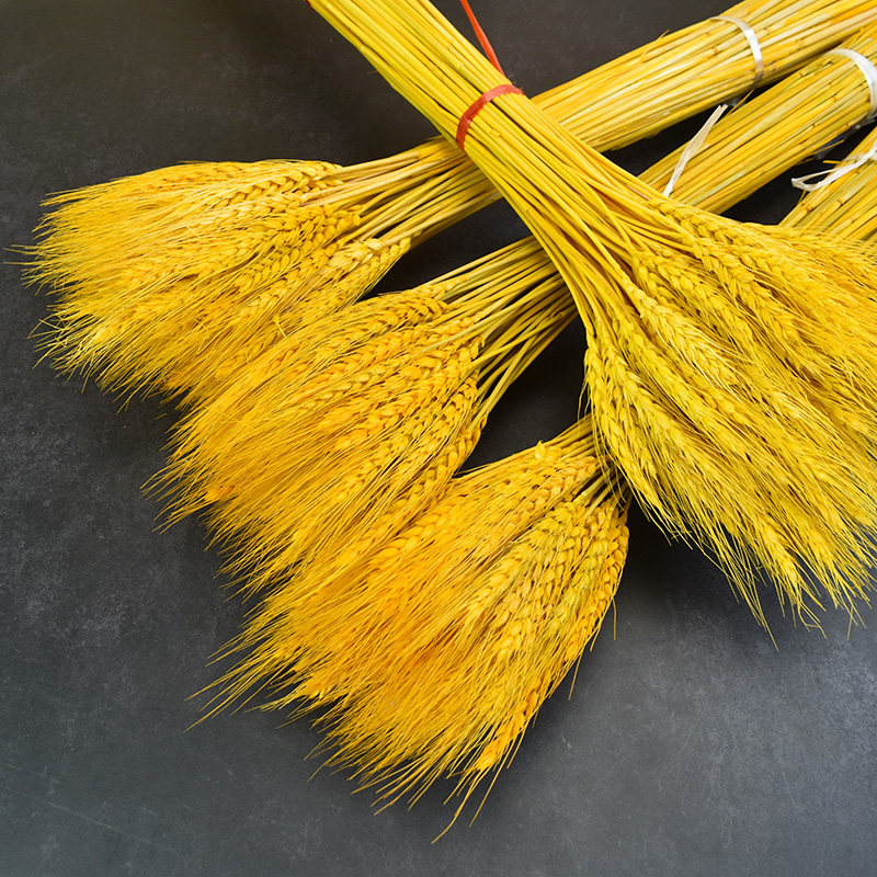 仿真花天然大麦小麦黄金麦穗干花插花瓶客厅餐厅饭店装饰花束摆件