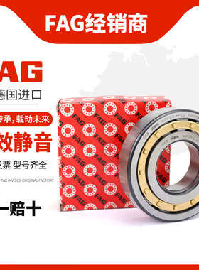 进口FAG圆柱轴承NUP213 214 215 216 218 219 220E-XL-TVP2-M1-C3