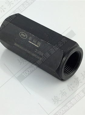 高压液压单向阀 止回阀直通管式止回阀/止逆阀CIT-02,03,04,06,08