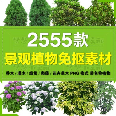 园林景观植物花草乔木花卉盆栽庭院SU草图大师模型Sketchup素材
