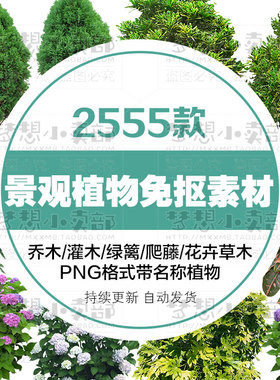 PS园林景观植物PNG免抠树木立面树绿色植物建筑效果图设计素材