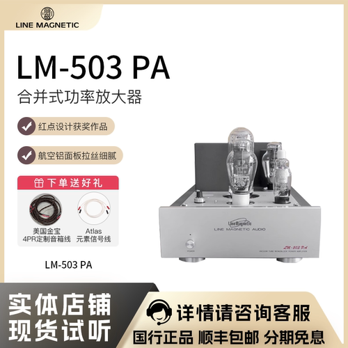 丽磁LM-503PA单声道纯后级功放