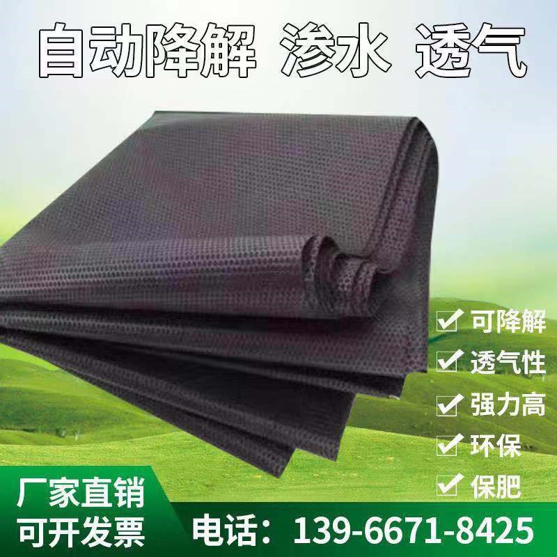 防草布除草布农用防草布PLA打孔防草布草垫黑色地膜生态黑膜果园1|ruв категории доставка цветов/цветок моделирования/растения садоводства, садовых принадлежностей, других садовых принадлежностей - от Buy2taobao.com для оказания профессиональной услуги покупки агента Taobao