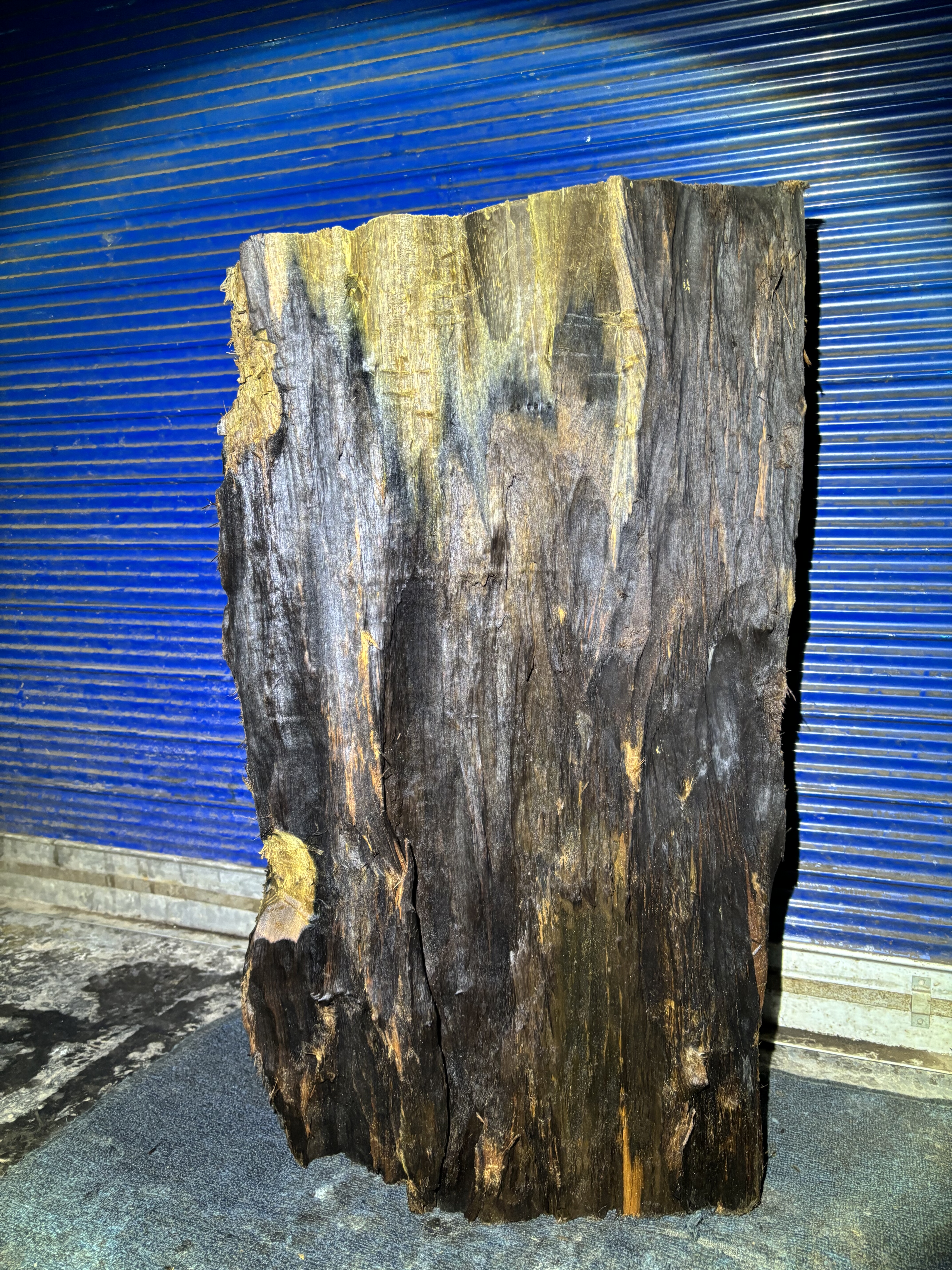 阴沉金丝楠乌木料川渝正宗小叶桢楠原木料保真香味茶盘雕刻摆件料