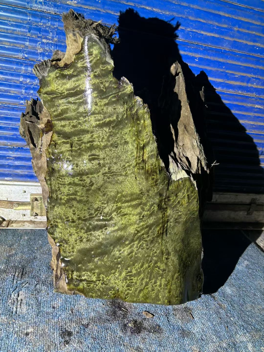 阴沉金丝楠乌木料川渝正宗小叶桢楠原木料保真香味满花摆件开板料