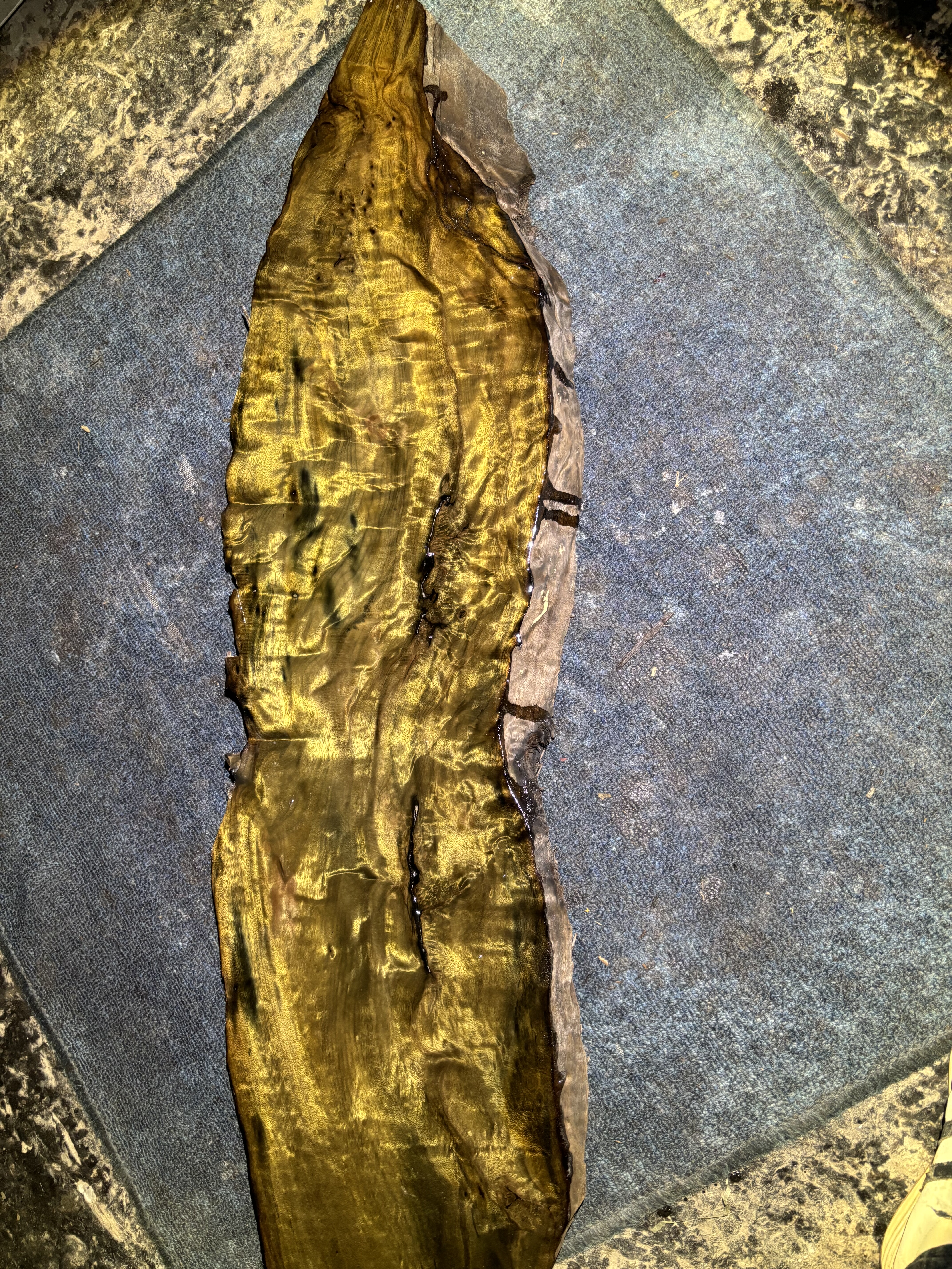 阴沉金丝楠乌木料川渝正宗小叶桢楠原木料保真香味闪电龙胆茶盘料