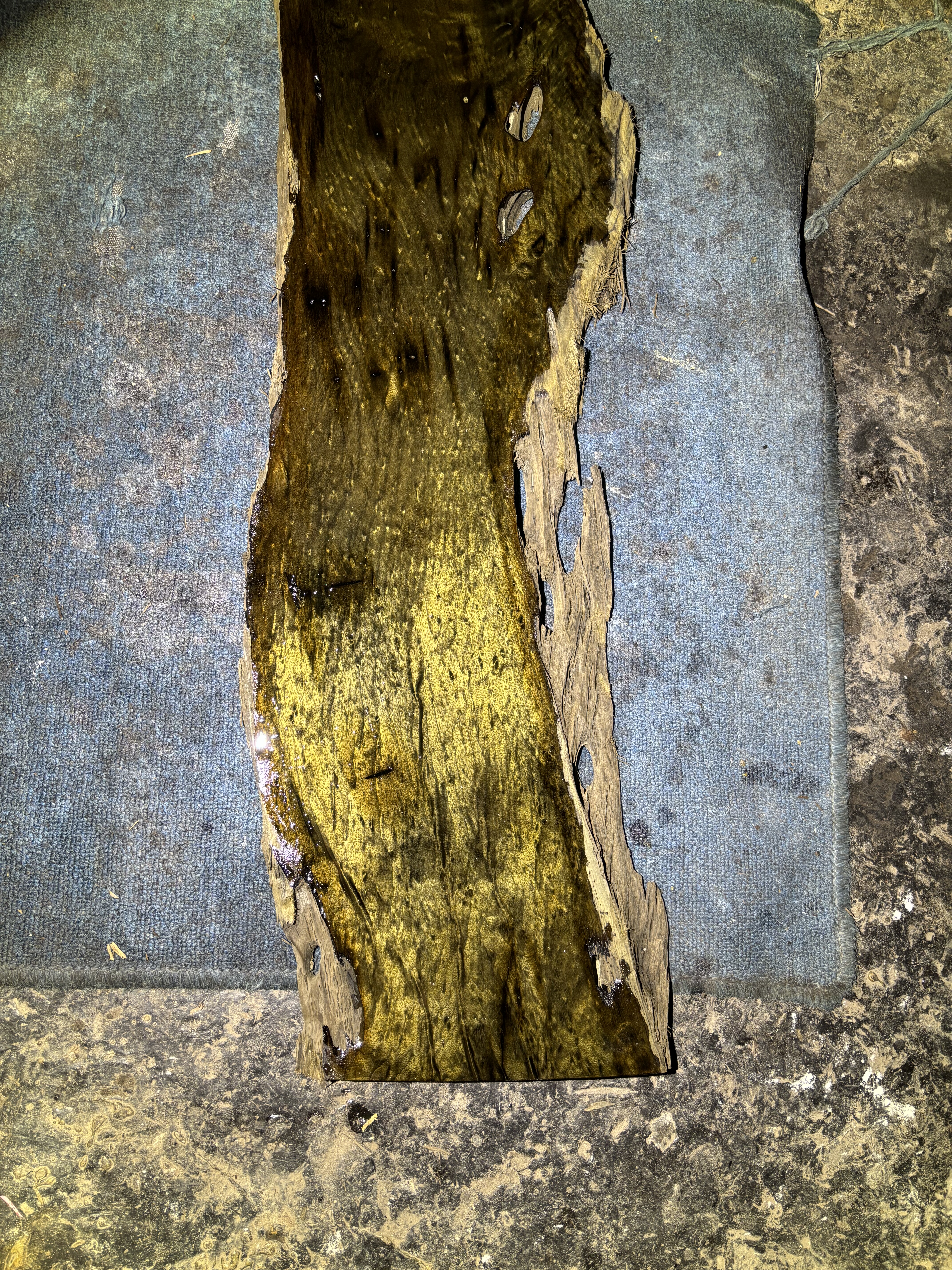 阴沉金丝楠乌木料川渝正宗小叶桢楠原木料保真香味满花龙胆纹干泡