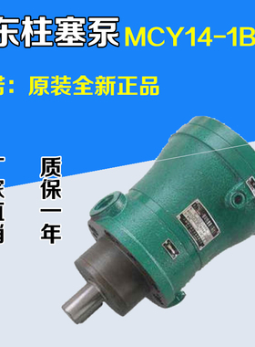 上海申福2.5MCY 5MCY 10MCY14-1B 25MCY 63MCY 80MCY启东柱塞油泵