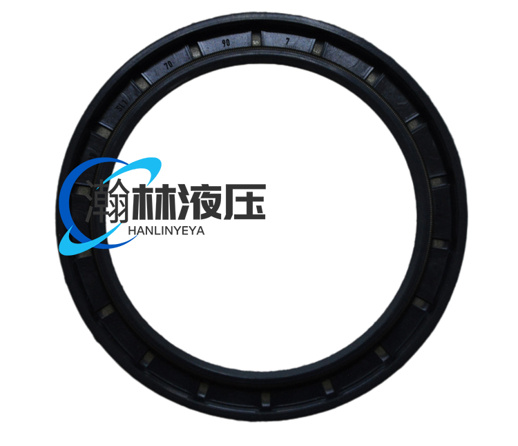 A6VM28 A6VM55 A6VM80 A6VM107 A6VM160 A6VM200骨架油封CFW轴封