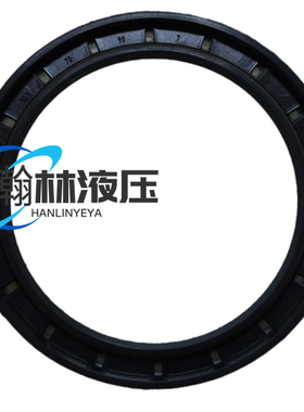 A6VM28 A6VM55 A6VM80 A6VM107 A6VM160 A6VM200骨架油封CFW轴封