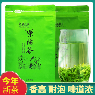紫阳绿茶2025新茶陕西安康紫阳富硒产区茶毛尖陕青炒青浓香耐冲泡