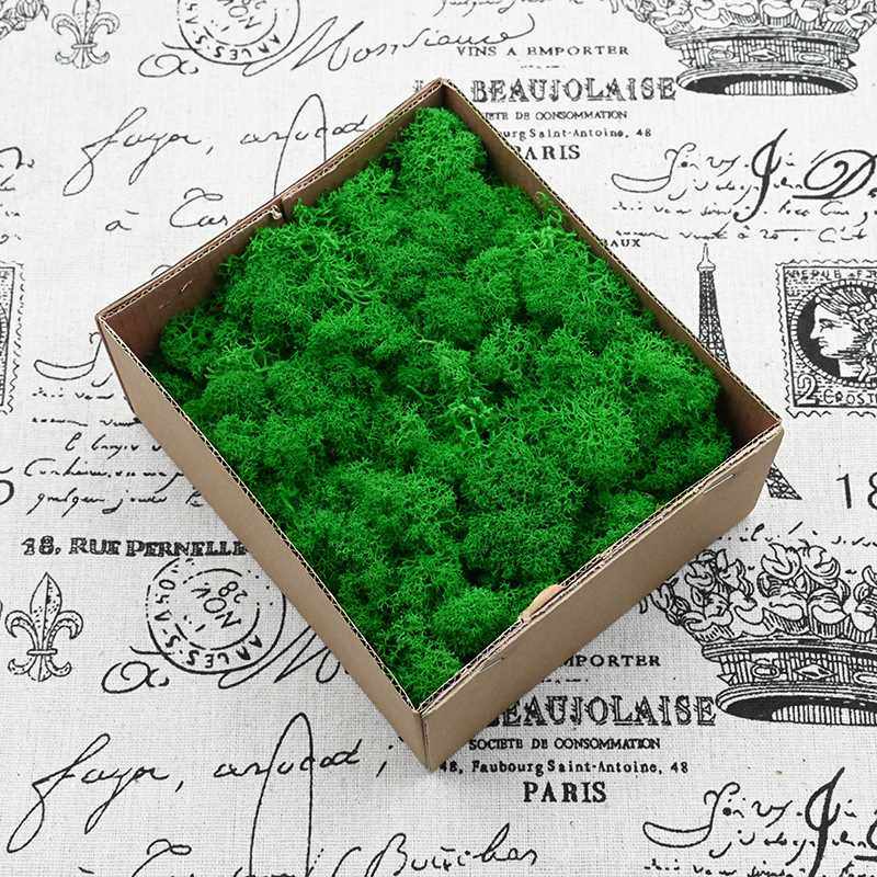 幻花永生花苔藓盒装100g/盒花材材料包diy干花真花植物墙仿真蓬松