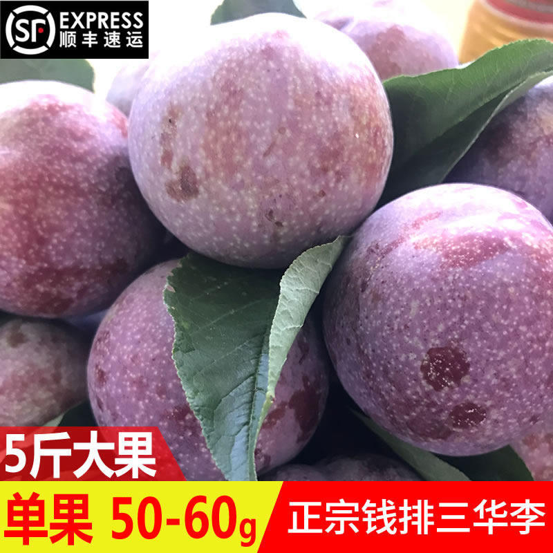 顺丰钱排三华李银妃新鲜信宜酸脆红心李子孕妇水果当季5斤装大果