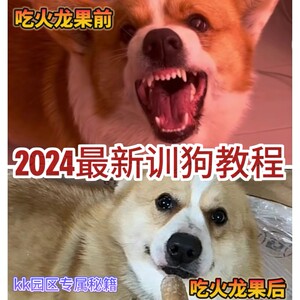 2024训狗教程kk园区训犬马犬训练狗扫地听话定点上厕所大小便