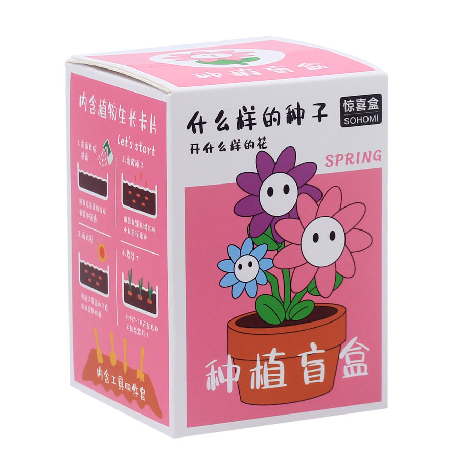 创意植物盲盒小盆栽幼儿图片