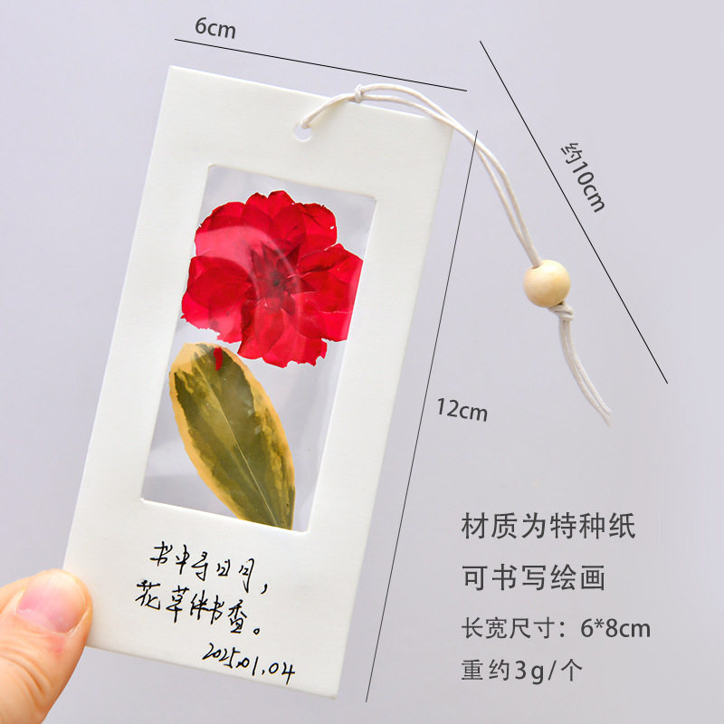 标本书签干花压花书签手工diy材料包透明植物树叶标本学生用自制,文具电教/文化用品/商务用品,书签,淘宝优惠券,粉丝福利购,淘宝优惠卷