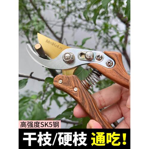 修枝剪园艺剪刀剪树枝专用园林修剪果树修枝花艺修花剪剪枝剪粗枝