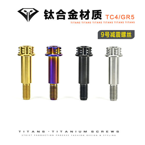 九号E200P/E125后减震钛合金螺丝