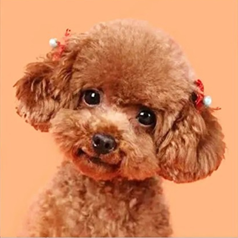 十字绣泰迪狗狗图案自己绣2025新款小件动物生肖狗点贴钻石画满钻