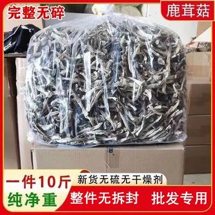 【批发价】鹿茸菇干货净重鹿耳菇散装批发煲汤饭店商用无干燥剂
