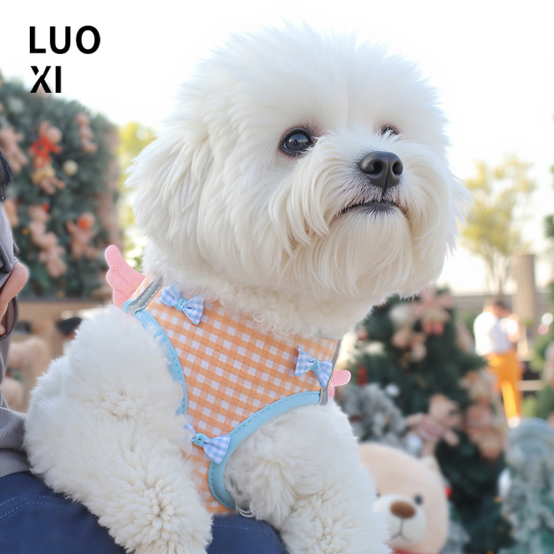 背心式狗狗牵引绳小型犬泰迪比熊博美胸背带小狗幼犬遛狗绳狗链子