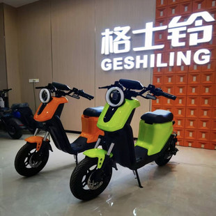 新新国标格士铃UA10寸成人家用代步智能电动车