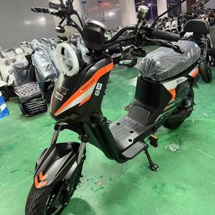 顶配深远GT13.0升级十二寸电机智能中控全套新款 新款 电动自行车